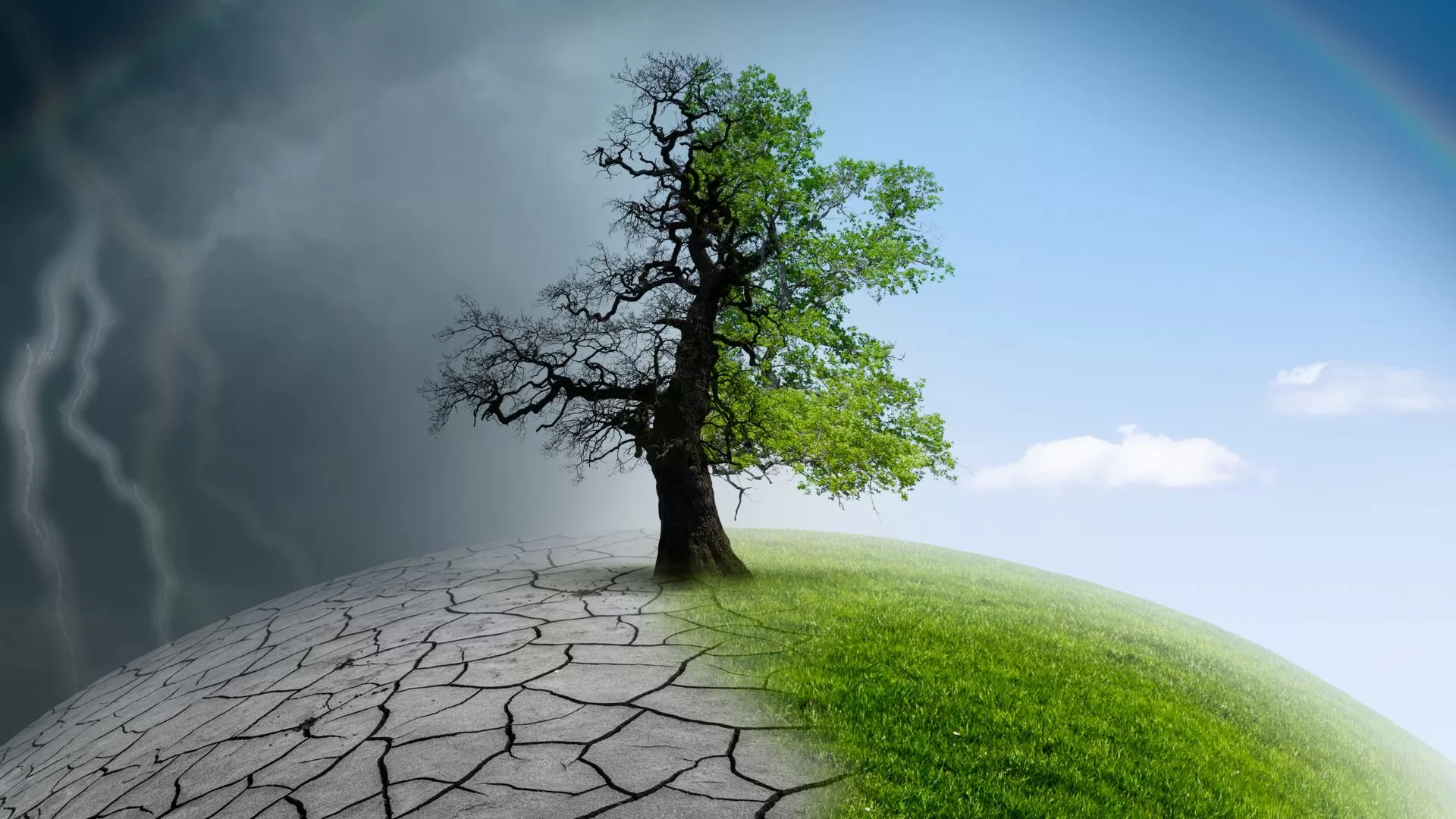 Climate risk mitigation