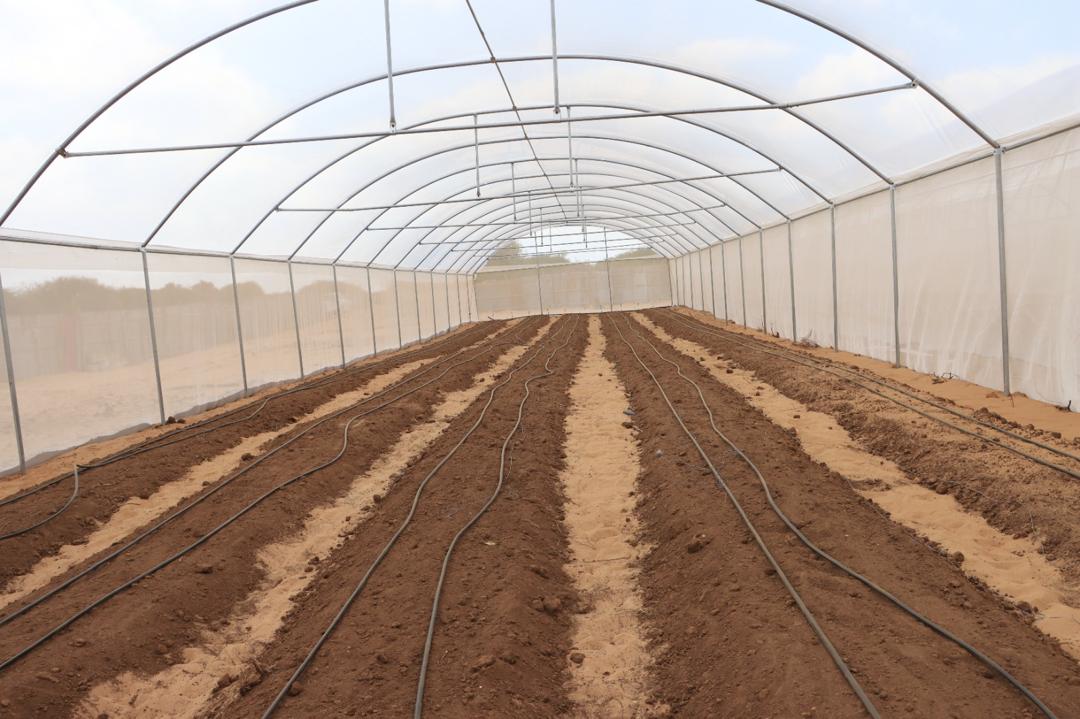 AECC Cooking Stove 12